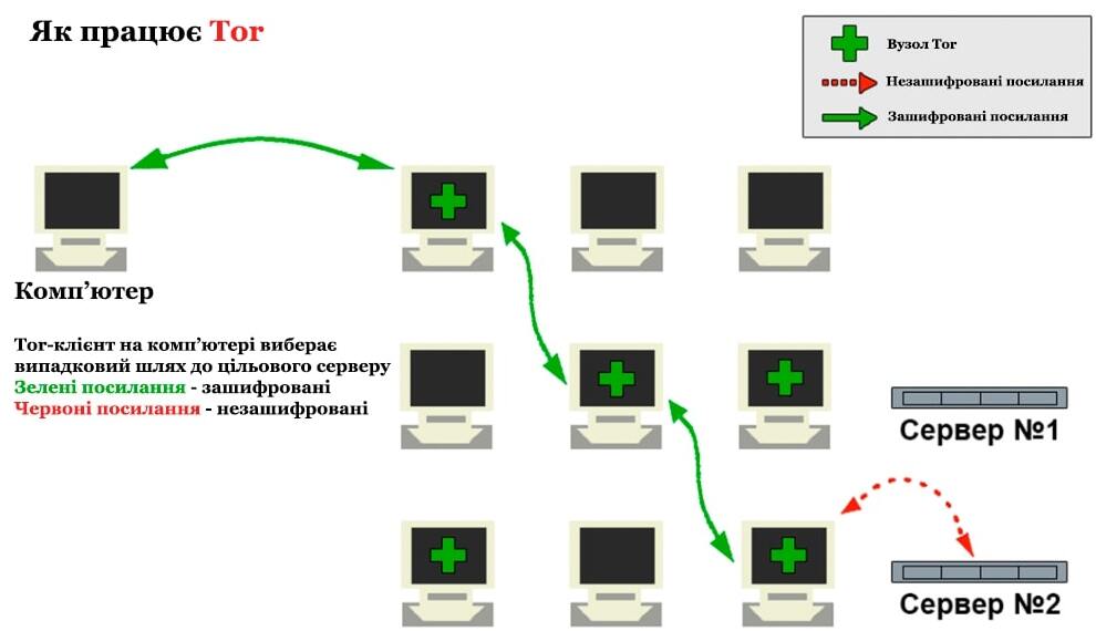 Принцип роботи мережі TOR | Generator-online.com